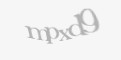 /component/jcomments/captcha/88397.html